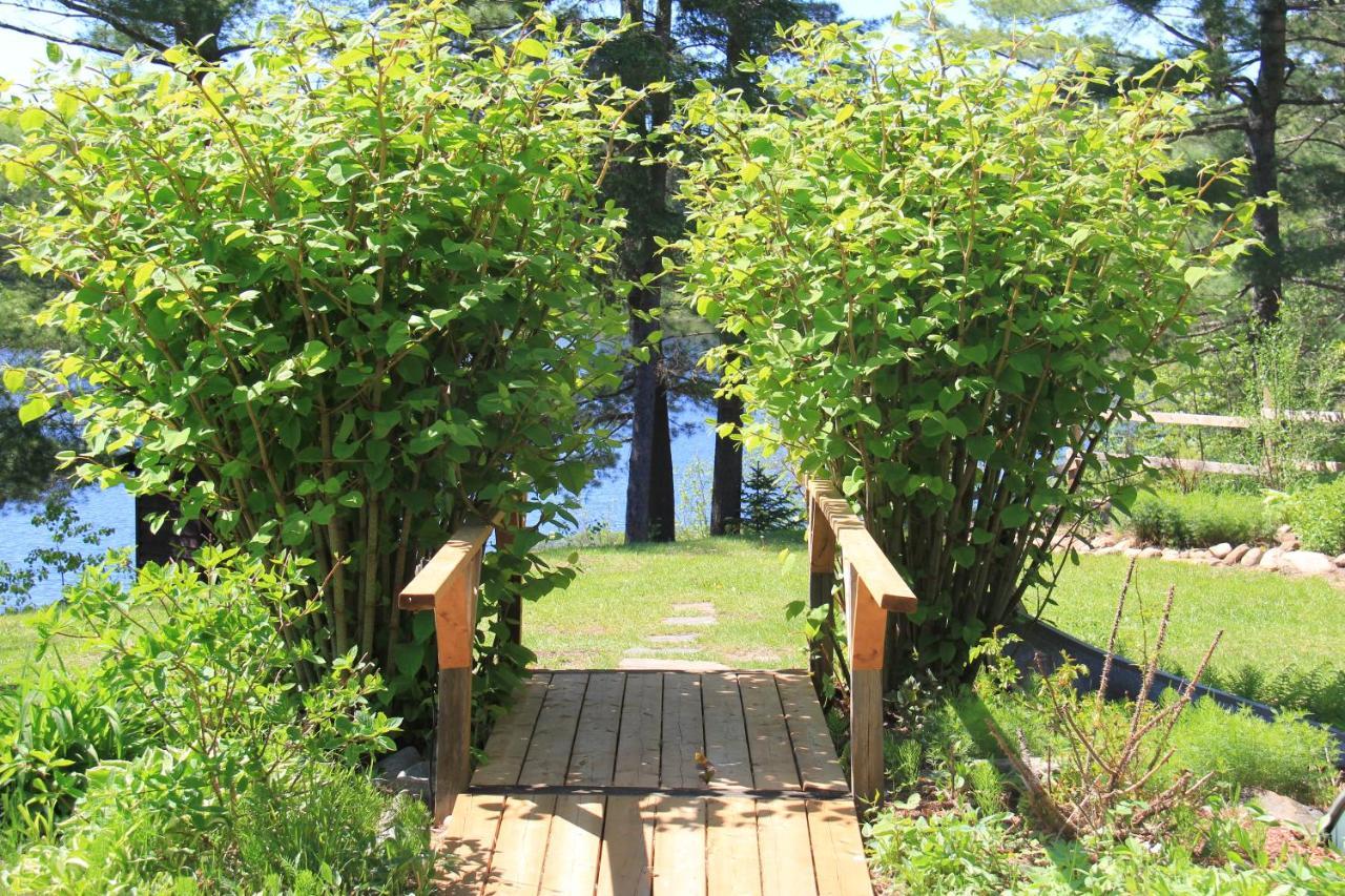 Spring Lake Resort Dwight Bagian luar foto