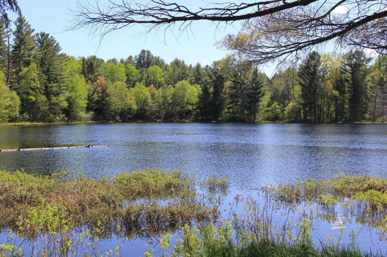 Spring Lake Resort Dwight Bagian luar foto