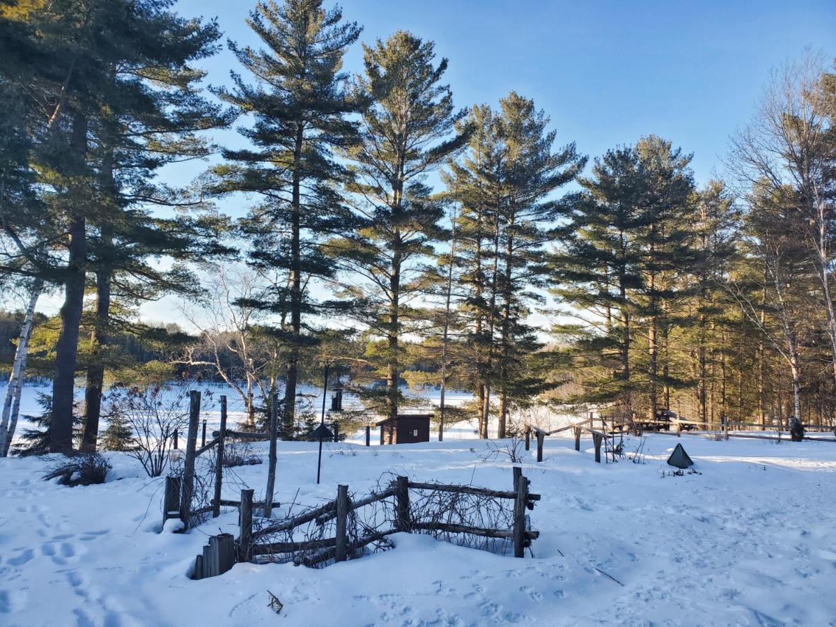 Spring Lake Resort Dwight Bagian luar foto
