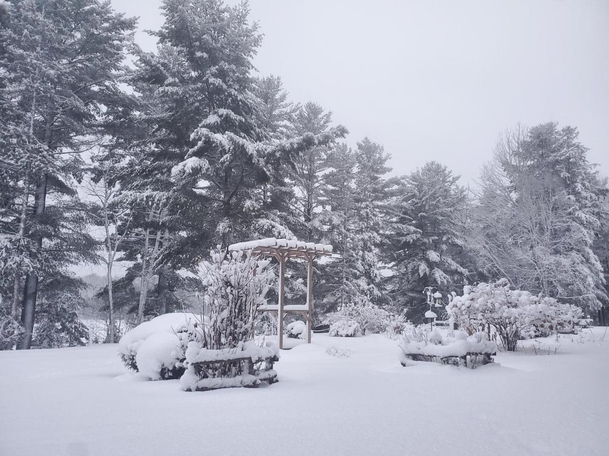 Spring Lake Resort Dwight Bagian luar foto