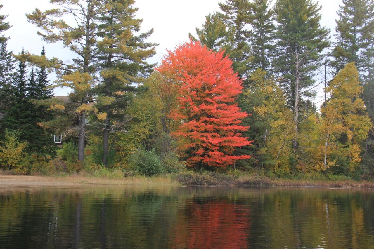 Spring Lake Resort Dwight Bagian luar foto