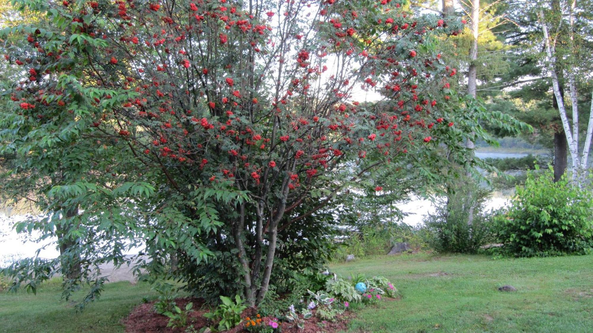Spring Lake Resort Dwight Bagian luar foto