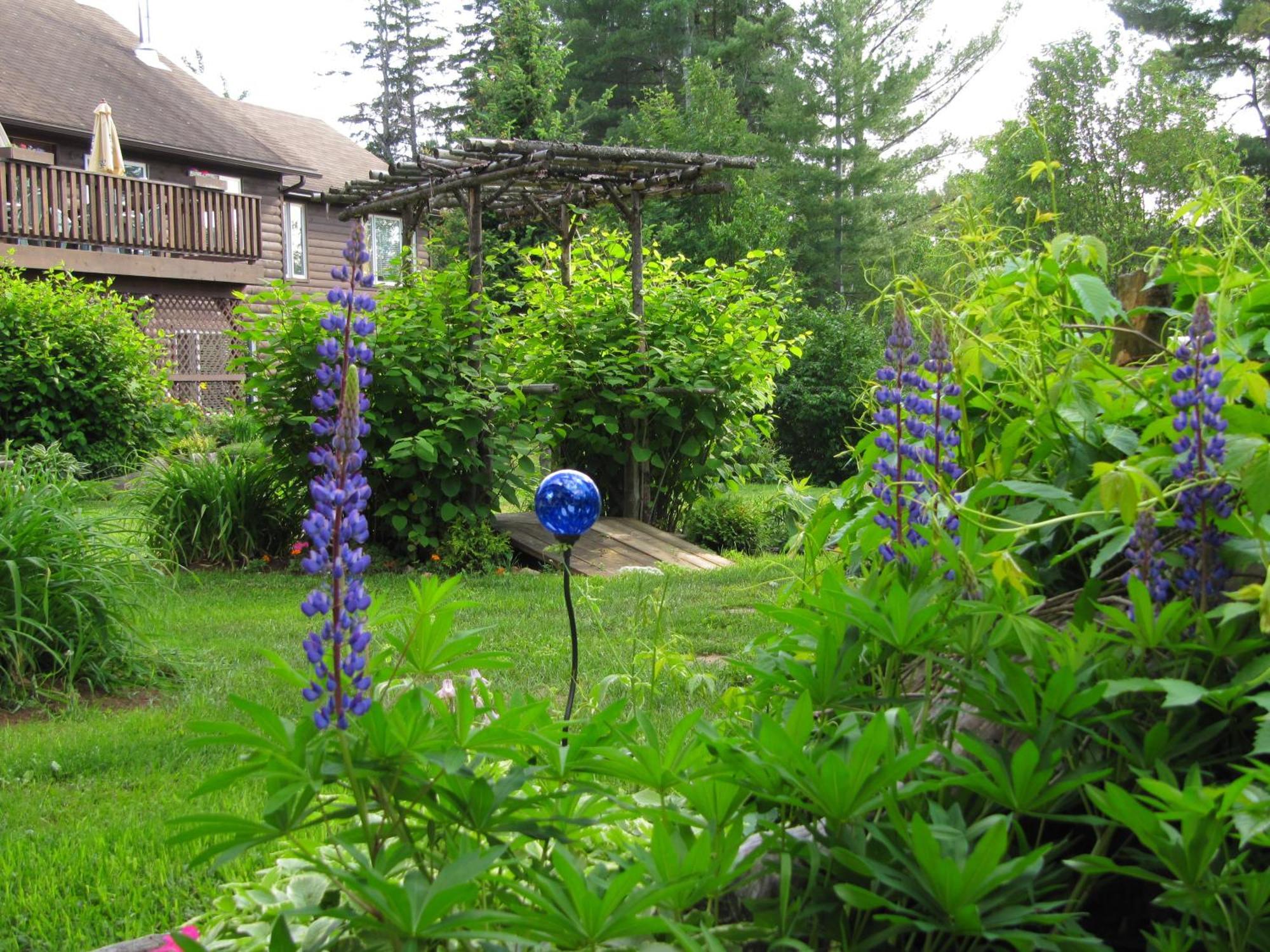 Spring Lake Resort Dwight Bagian luar foto