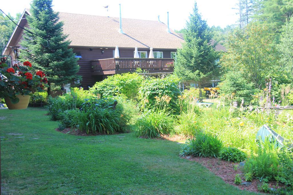 Spring Lake Resort Dwight Bagian luar foto